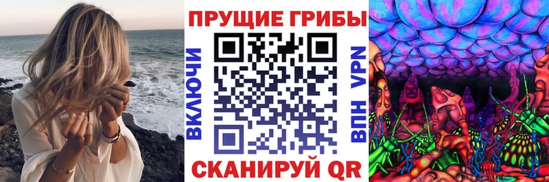 наркотики  MEGA маркетплейс  Псилоцибиновые грибы ЛСД  Фокино 